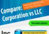 Business infographic : LLCs vs Corporations (Infographic)