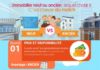 Business infographic : Les points clés à retenir sur l’achat d’un logement neuf ou d’un logement anci…