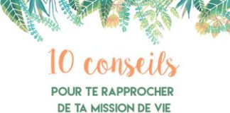 Business infographic : Qu’est-ce que la mission de vie et comment s’en rapprocher