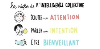 Business infographic : Regles-Intelligence-Collective