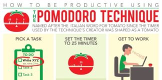 Business infographic : Time Management