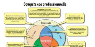 Management : Compétences professionnelles: savoir, savoir-être, savoir-faire