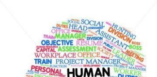 Management : Management : Management : HR Professional time talent skillsjust a glimpse