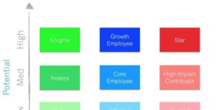 Management : Management : Management : Startup Best Practices #11 The 9 Box Matrix Talent Model