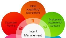 Management : Management : Management : What is the Talent Management Life Cycle?