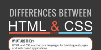 Management : Travel infographic – Key differences between HTML & CSS Have a big network of executives and HR manag…