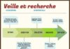 Management : Veille professionnelle : outils et méthode