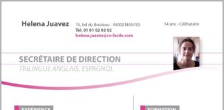 Business infographic : Modele sympa