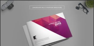 Business infographic : Multipurpose Landscape Brochure