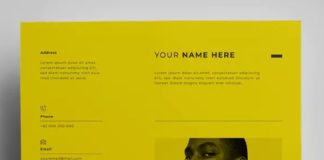 Business infographic : Resume Design Templates AI, EPS