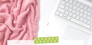 Business infographic : Tout connaître de WordPress avec la formation WPChef