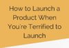 Management : How to launch a product when you’re terrified of launching