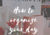 Management : How to organise your day when working from home – THP