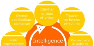 Management : roue du processus de l'intelligence collective