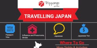 Travel infographic – Get complete information about sightseeing and tourist destinations in Japan travelling infographic.