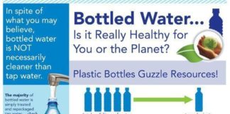 Food infographic – Food infographic – Food infographic Food infographic Food infographic There are many brands of b