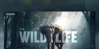 Travel infographic –