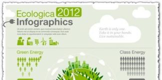 Statistics infographic : Eco infographic statistic charts vector