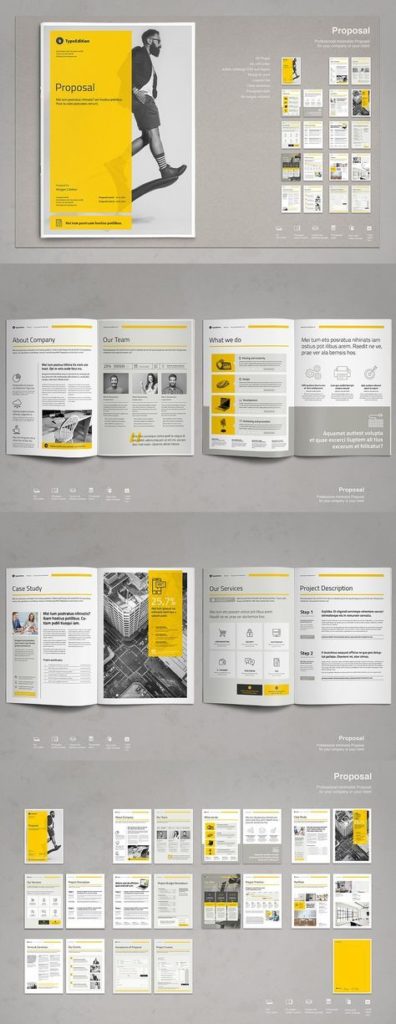 Business infographic : Business Proposal Template PDF, INDD ...