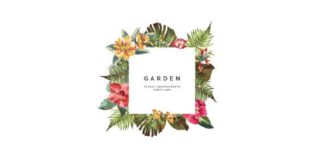 Business infographic : Kit identité visuelle site web