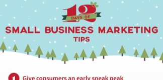 Business infographic : Small Business Holiday Marketing Tips