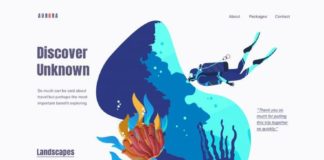 Business infographic : Travel Website on