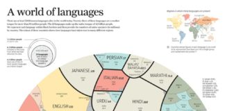 Educational infographic : A Proportional Look at the World’s Languages [Infographic