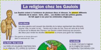 Educational infographic : CULTURE – la religion chez les Gaulois