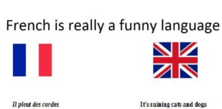 Educational infographic : French is a funny language