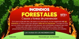 Educational infographic : Incendios forestales En lo que va del año se han registrado mil 397 siniestro…