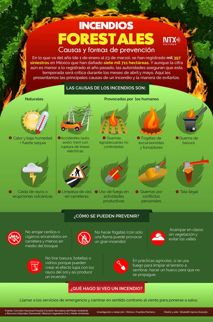 Educational Infographic : Incendios Forestales En Lo Que Va Del Año Se ...