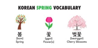 Educational infographic : Korean Language Infographics | Learn Basic Korean Vocabulary & Phrases with Dom …