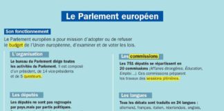 Educational infographic : Le Parlement européen