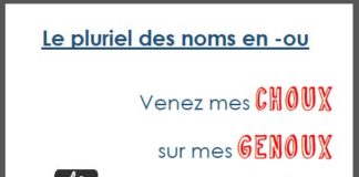 Educational infographic : Le pluriel des noms