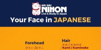 Educational infographic : Learn new japanese vocabulary with this cute infographic. And if you want to Liv…