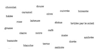 Educational infographic : Liste pour auteurs : décrire la peau