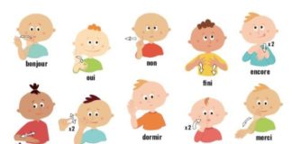 Educational infographic : Mes premiers signes avec bébé