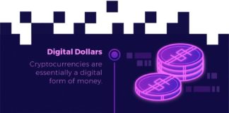 Educational infographic : This Awesome Infographic Explains WTF Bitcoin is, How it Works