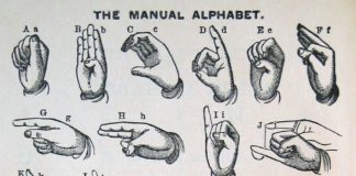 Educational infographic : Untitled