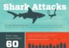Fashion infographic : Anatomy of a Shark Attack: Infographic