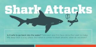 Fashion infographic : Anatomy of a Shark Attack: Infographic