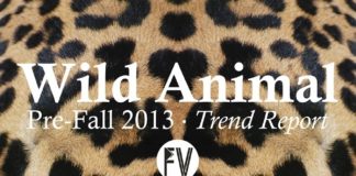 Fashion infographic : FASHION VIGNETTE: A/W 2013