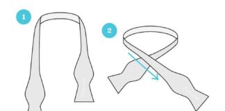 Fashion infographic : Fashion infographic : Fashion infographic : Annodare papillon