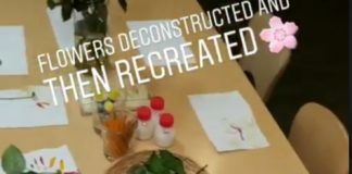 Fashion infographic : Fashion infographic : Such a great STEAM project for Exploring Creation with Botany: Flowers deconstructed and then recreated. Spring #kidscience