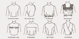 Fashion infographic : Fashion infographic : différents corsages, chemisiers.