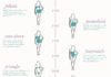 Fashion infographic : History of Swimwear Infographic from Enerie. For popular fashion infographics go…