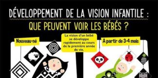 Fashion infographic : Infographie : comment voit mon bébé