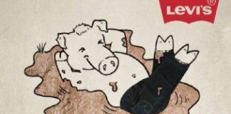 Fashion infographic : Una Excelente Campaña.!