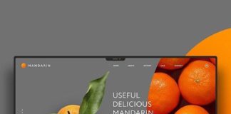 Food infographic –