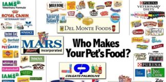 Food infographic – Avoid these pet foods, most all of which contain very low animal protein, very h…